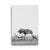 Elephant Photo Print Canvas