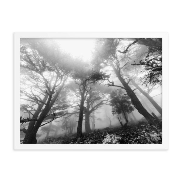 Magic Forest Framed Photo Poster