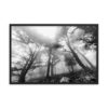Magic Forest Framed Photo Poster