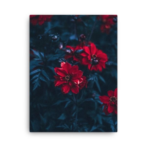 Red Flowers Photo Print Canvas